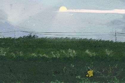 十二生肖