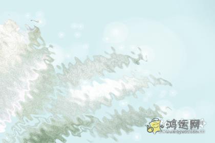 爱钻牛角尖，哪些生肖爱一条道走到黑