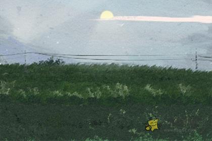 十二生肖