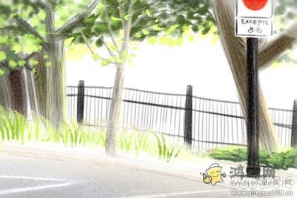 十二生肖什么情况下会舍弃自家宠物