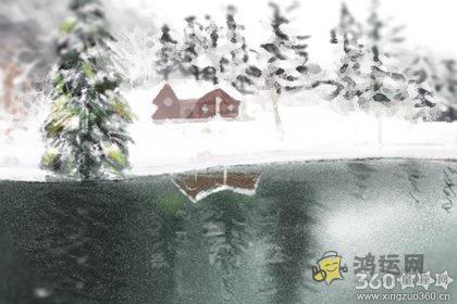 十二生肖什么情况下会舍弃自家宠物