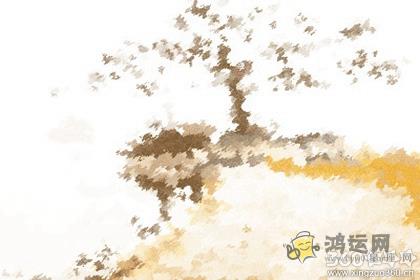 十二生肖如何看待在朋友圈秀恩爱的人
