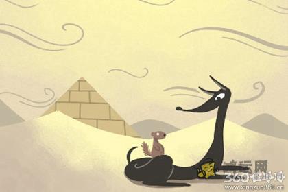 心里无论多难受，这些生肖只会对着星星诉苦