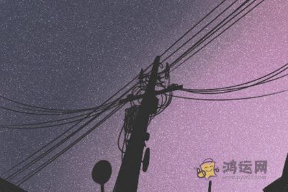 事业有成，比男人还强的生肖女