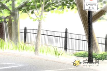 去哪儿玩_只去大保健玩的生肖男